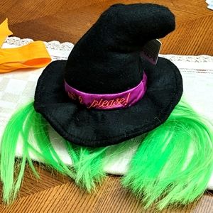 NWT Witch Please Dog Hat